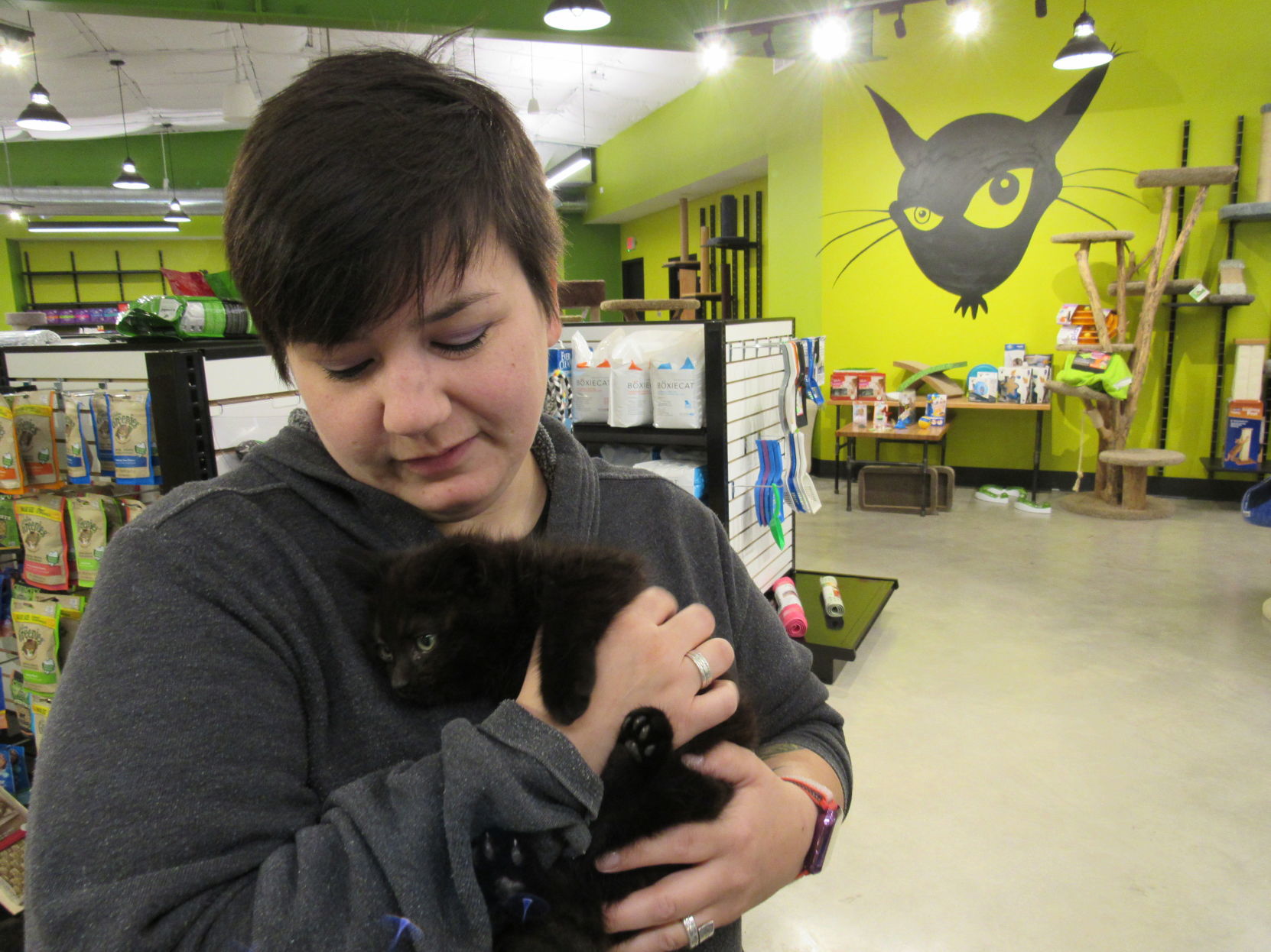 MadCat Pet Supplies